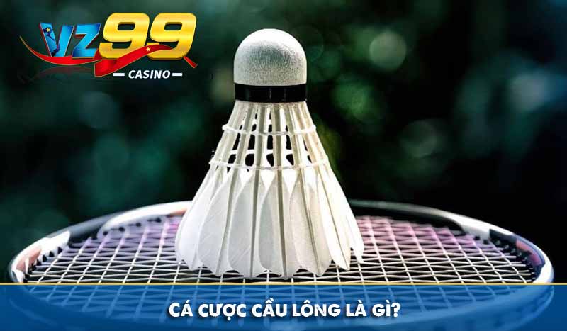 Game Cá cược cầu lông tại VZ99 và lưu ý quan trọng khi chơi 5 Cá cược cầu lông là gì?