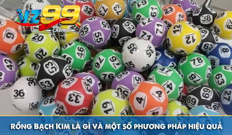 Rồng Bạch Kim là gì và một số phương pháp áp dụng hiệu quả 1 Rồng Bạch Kim là gì và một số phương pháp hiệu quả